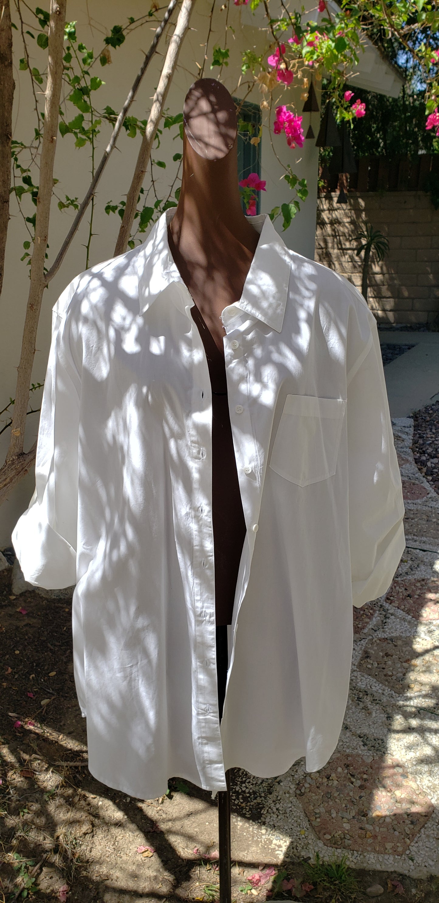 The White Collared Shirt