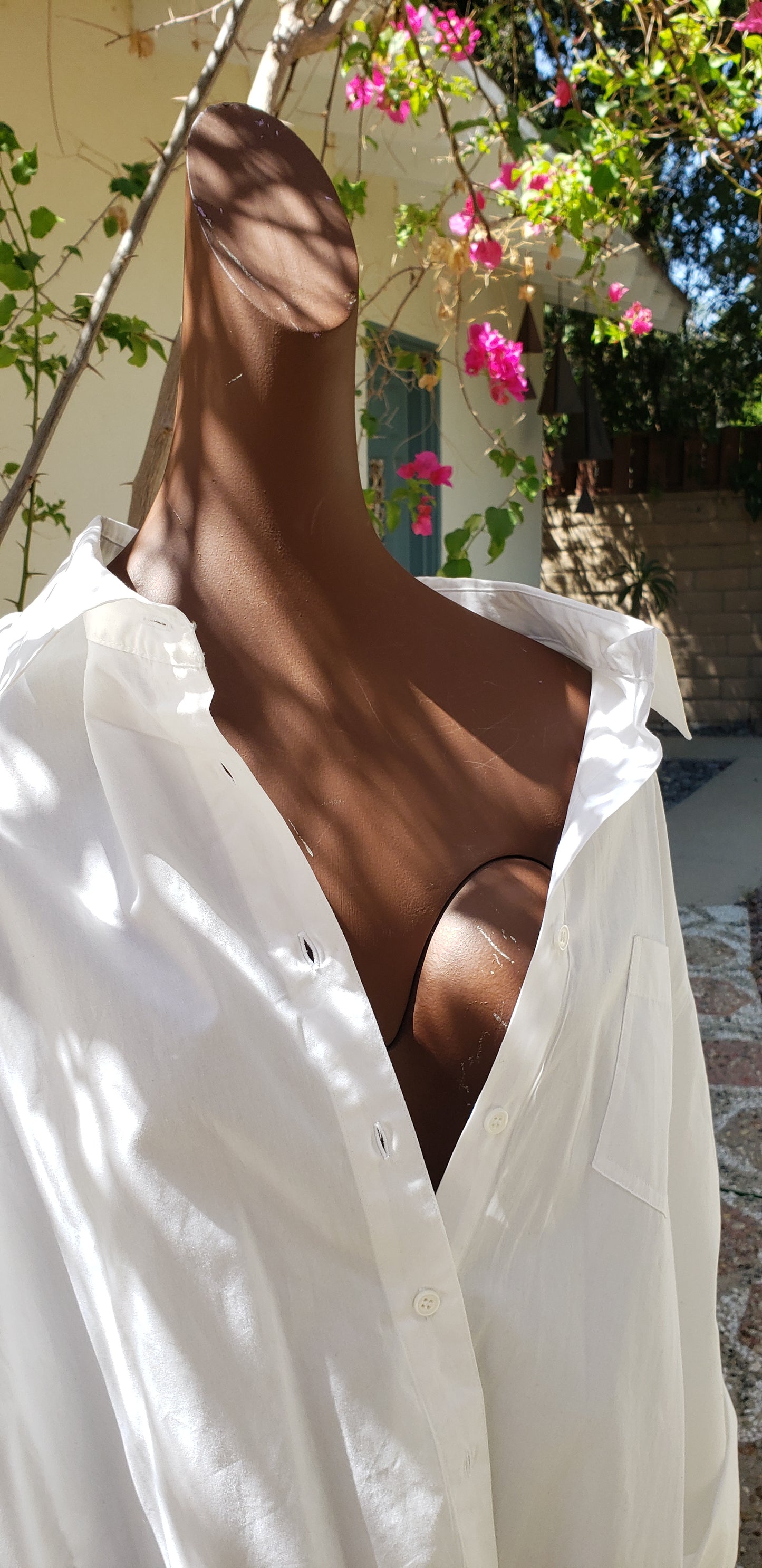 The White Collared Shirt