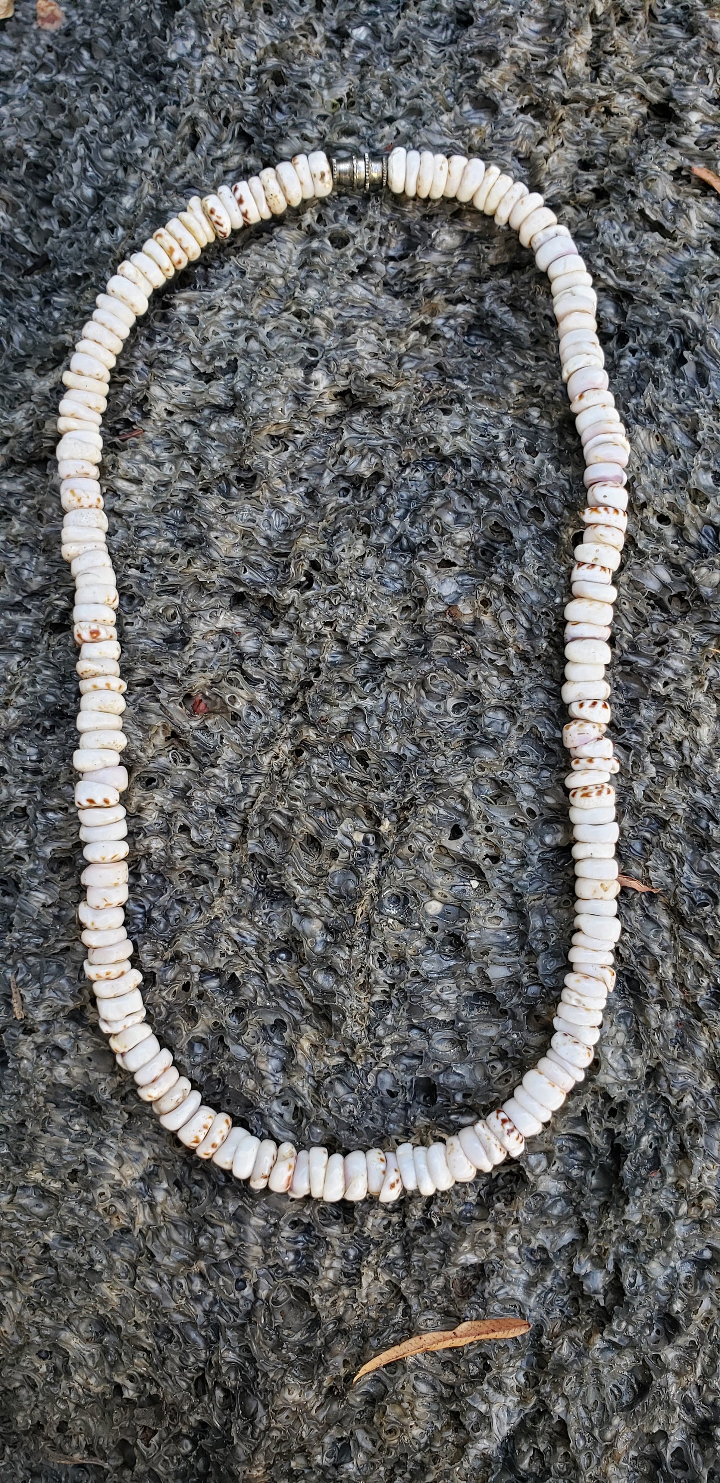 Puka Shell Choker